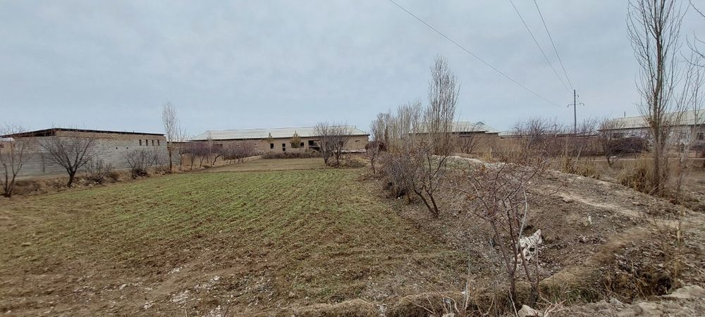 12 sotix yer sotiladi. Fazli qishlog'idan