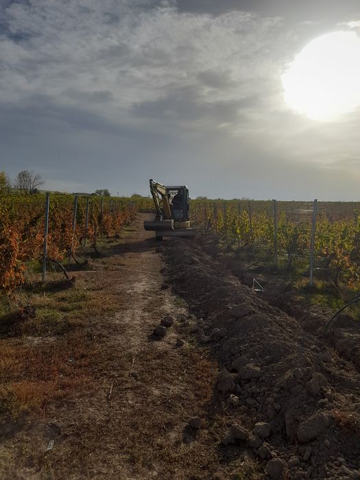 Irigati  vita  de vie   picurare, automatizare , pompe