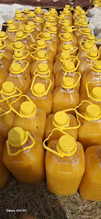 Пчелосемя и пакеты