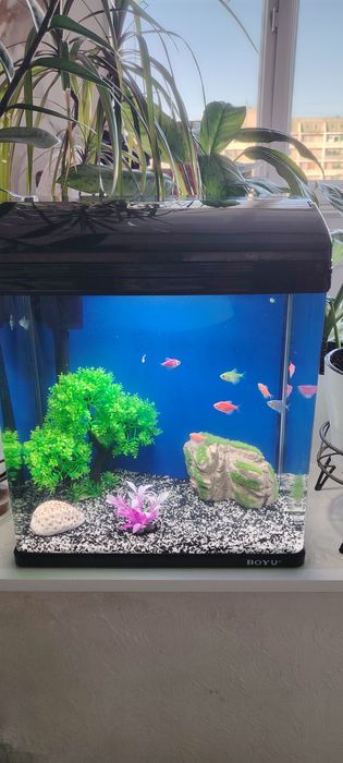 Новый завадскойАквариум