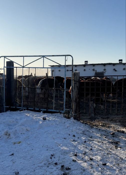 Продается крестьянское хозяйство