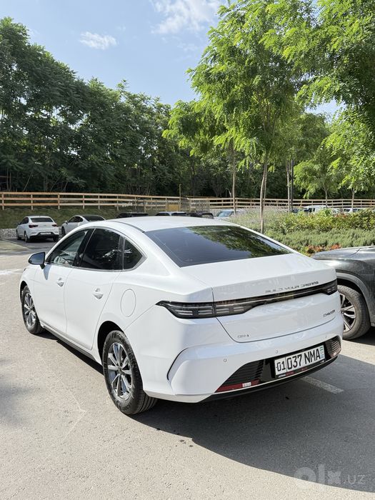 BYD CHAZOR 2024 55km