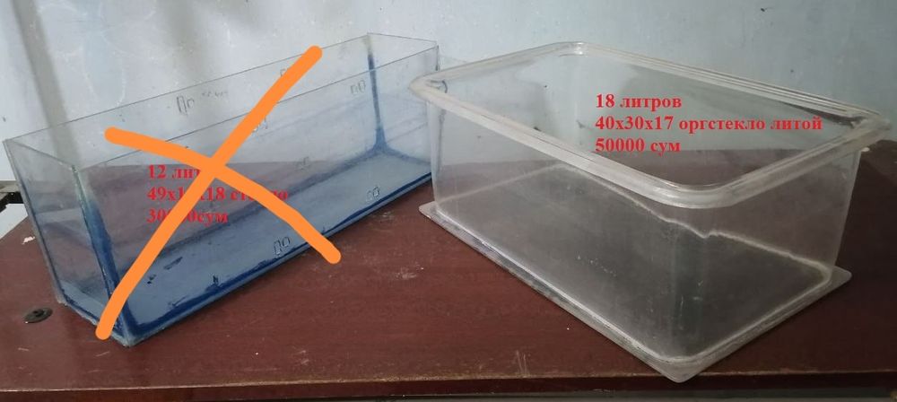 Небольшие аквариумы. Отсадники.