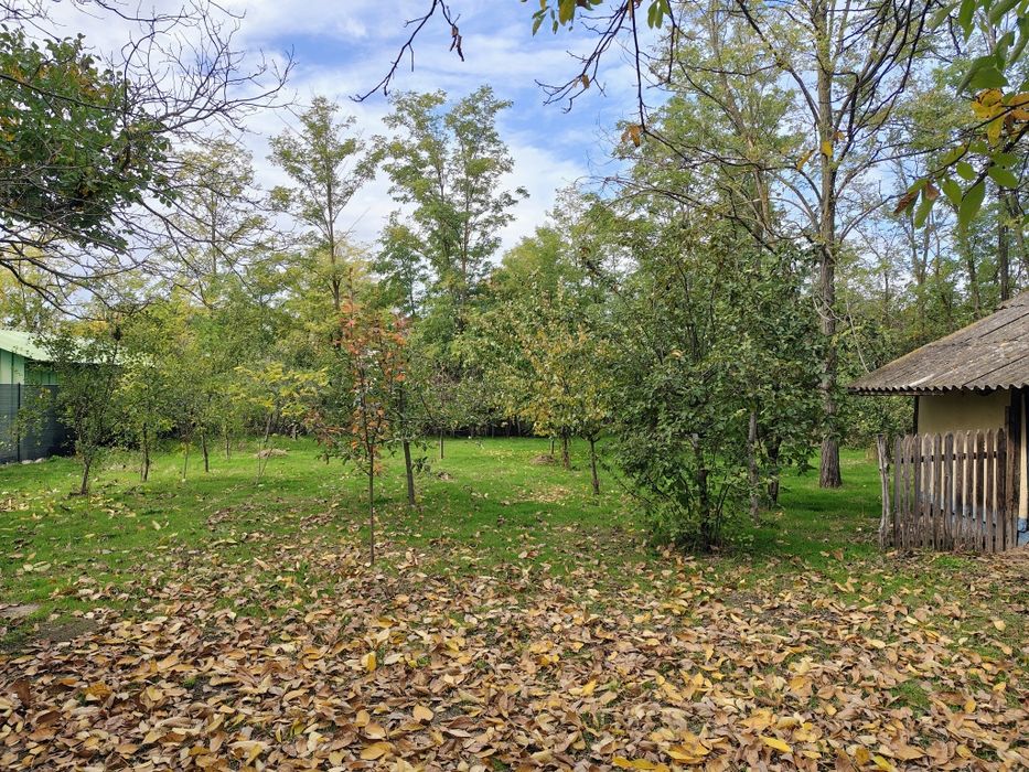 Casă de vânzare - Vlad Țepeș, Călărași