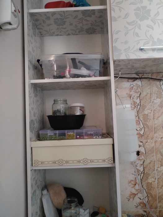 Утюк босадиган янги