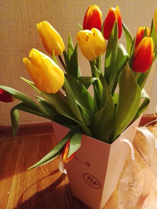 Цветы свежи новый