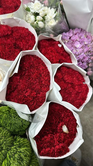 Гвоздики красные