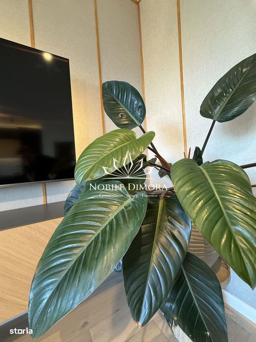 Nord One Brediceanu - Apartament smart home cu 2 camere - Central