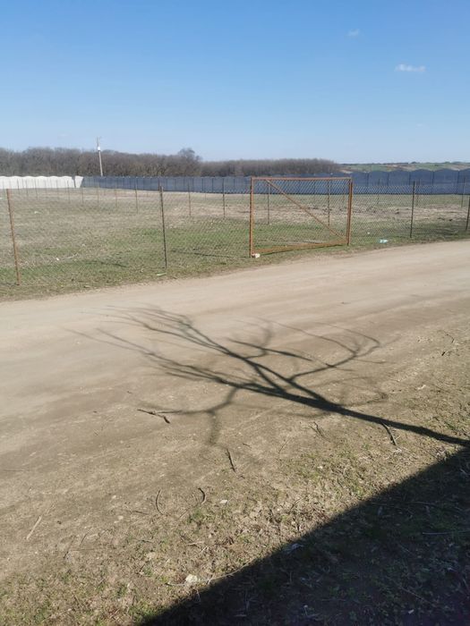 Teren intravilan 700mp - Strada Baloseni