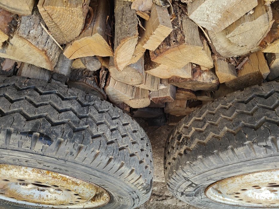 Roti Dacia papuc 175 r14 C