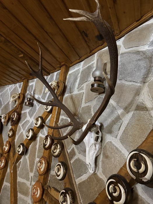 Ловни трофеи  на супер цени