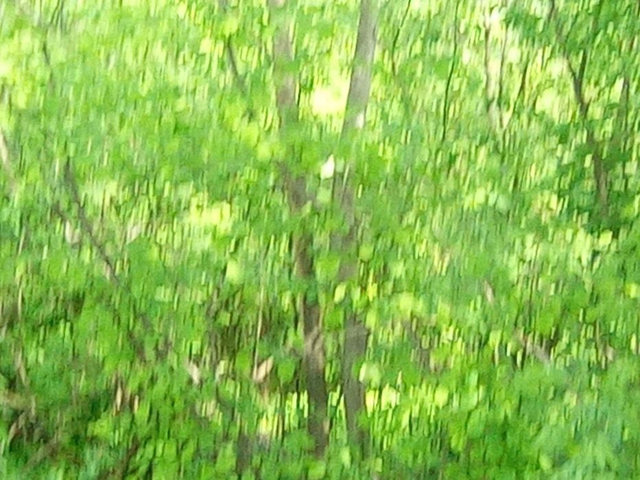 Teren intravilan Breaza