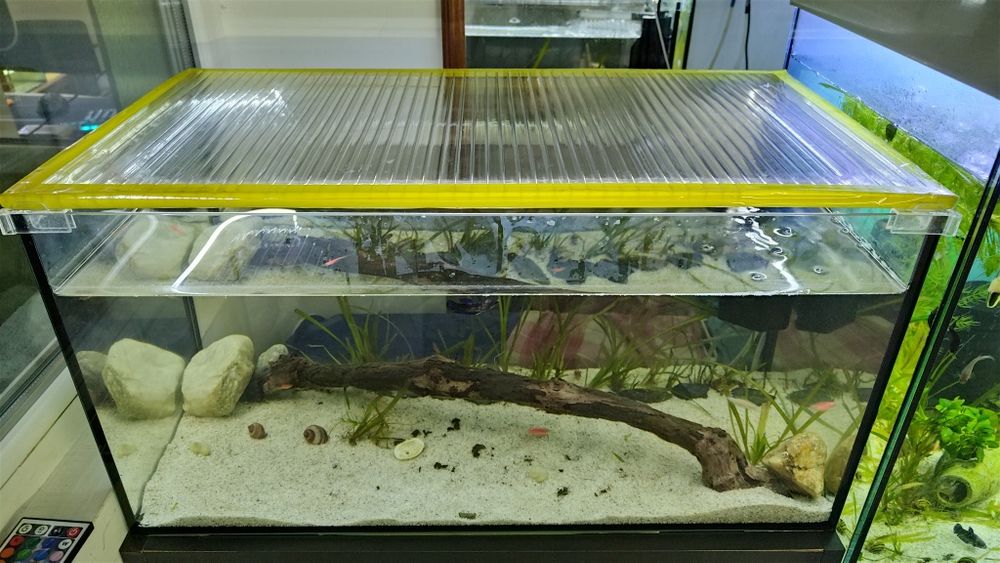 Acvariu cu pesti 54L plante scoici pesti cioata substrat led capac