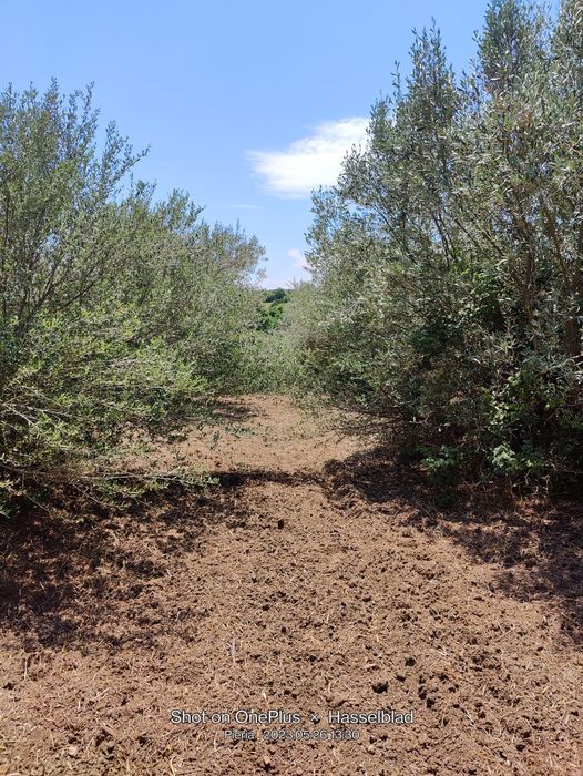 Продава се Парцел в София, ПЗ Хладилника - 2437 кв.м за 29 €/кв.м - Снимка #3