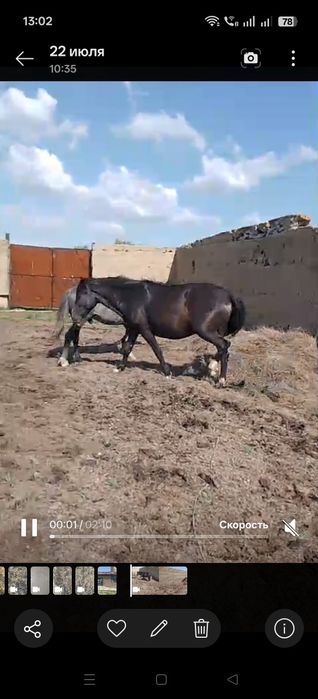Продам продам продам