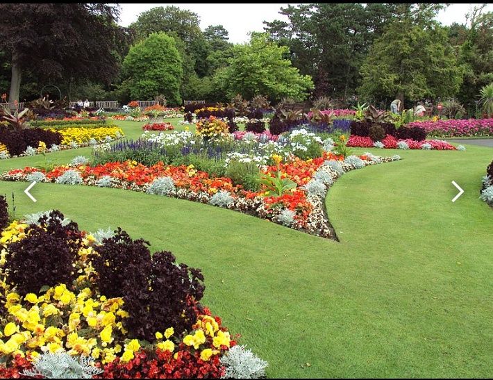 Грижа за Вашият двор и градина.