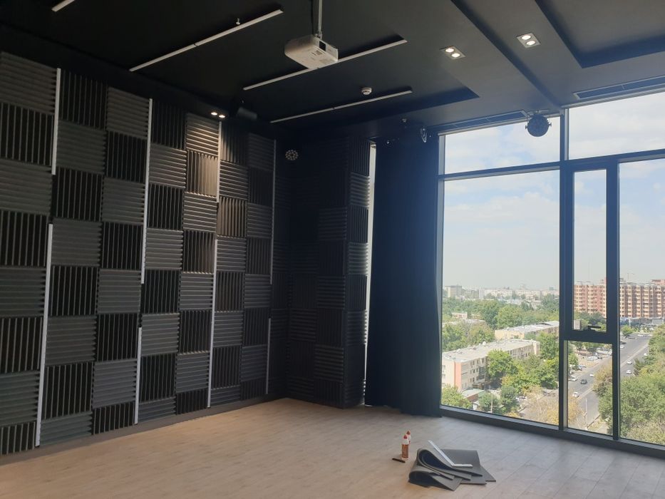 Шумка. Акустика. Акусический поролон