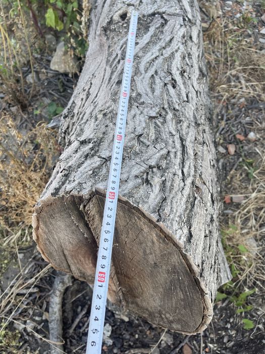 Орех-дърво на трупи