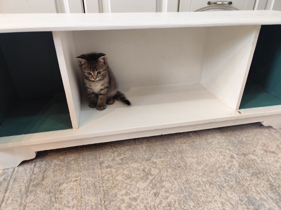 Тумба для обуви.  Из советской тумбы.