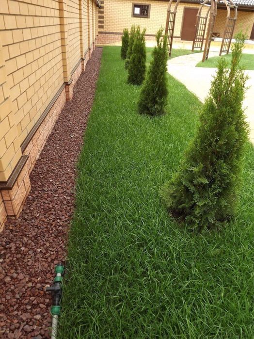 Газон егу жұмыстары Атырау