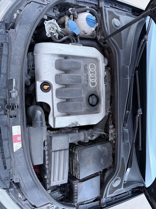Audi A3 8p | 1.9TDI