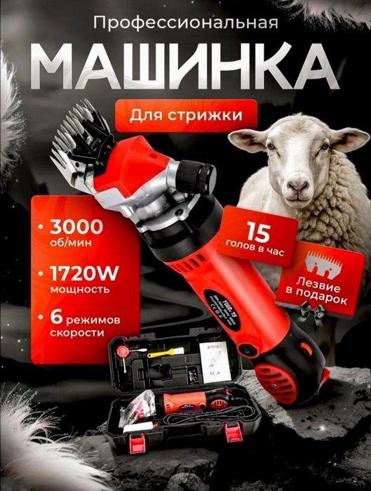 Кой  юнги  оладиган  мошинка