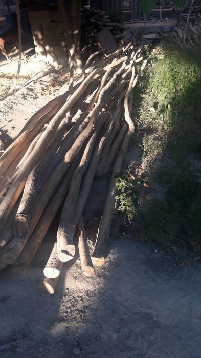 Болор кук терак арзон нархда