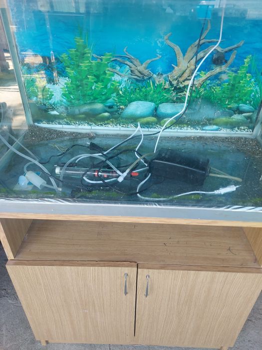 Acvariu 125L + accesorii + dulap lemn de vânzare 800lei