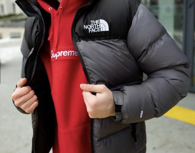 Пуховик куртка тнф tnf