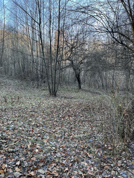 Vand teren extravilan 15000m in Valea Lunga-Dambovita cu padure, ideal pentru investitii