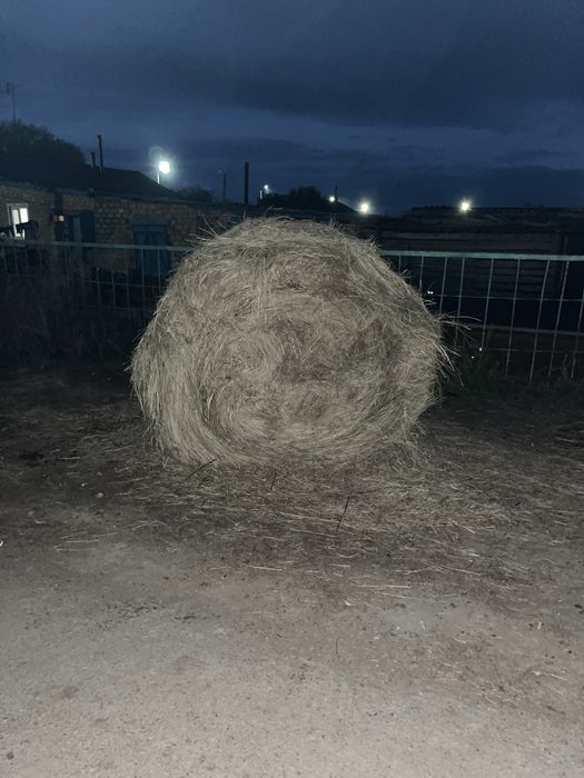 Продам сено рулонах