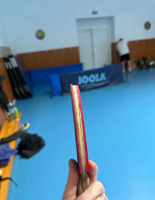 Paletă profesională tenis de masă !