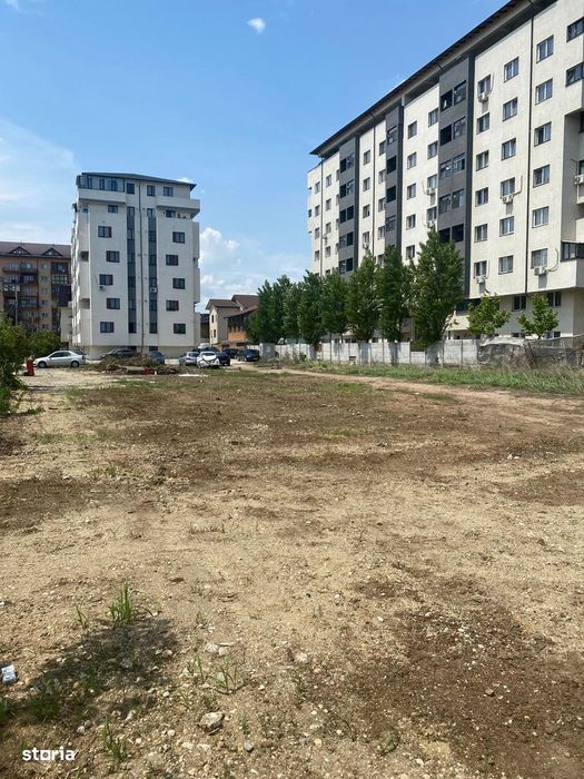 Teren Intravilan Chiajna Rezervelor 29N 3000 Mp 220 Euro Mp