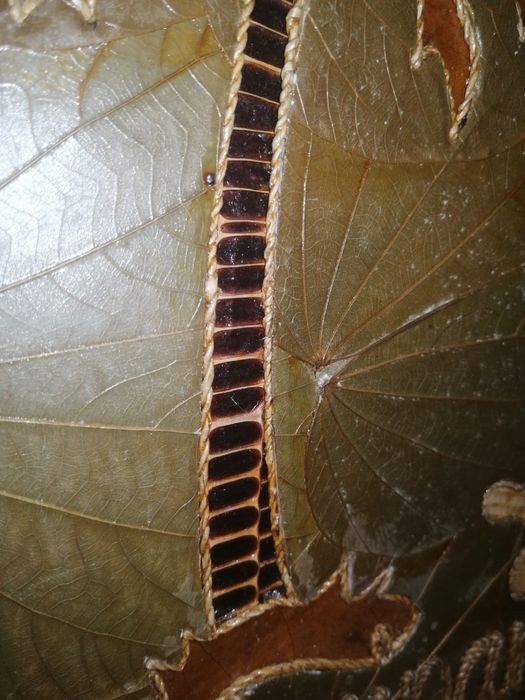 Старинный Альбом для фотографий