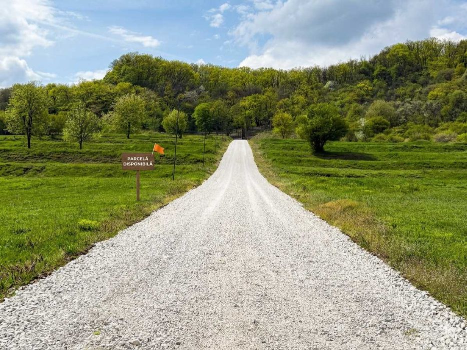 Teren Intravilan Aiud – CARTIER REZIDENȚIAL | sub pădure | 30€/mp | investiție