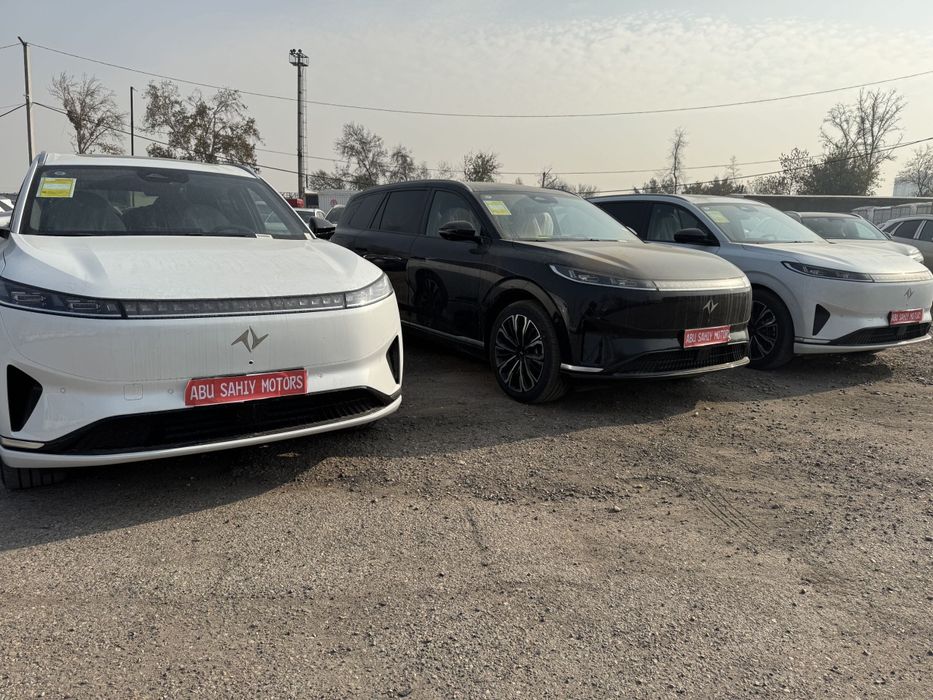 Donfeng 008 Byd yuan up