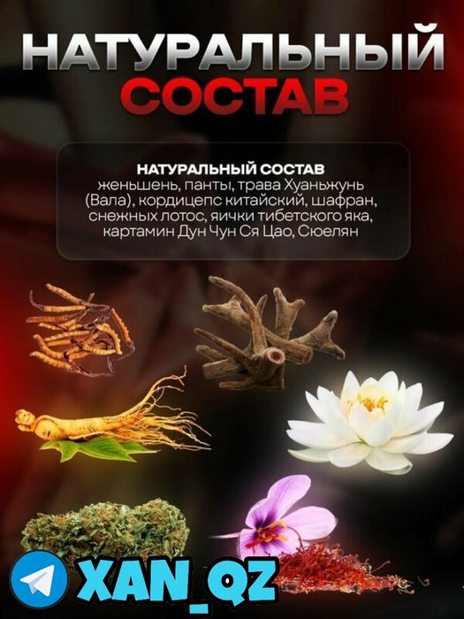 оригинальный катализаторнаш паоленьма