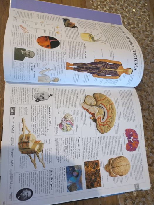 Илюстрована Семейна енциклопедия