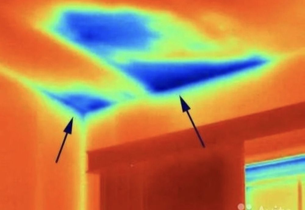 Тепловизор, все виды услуг.