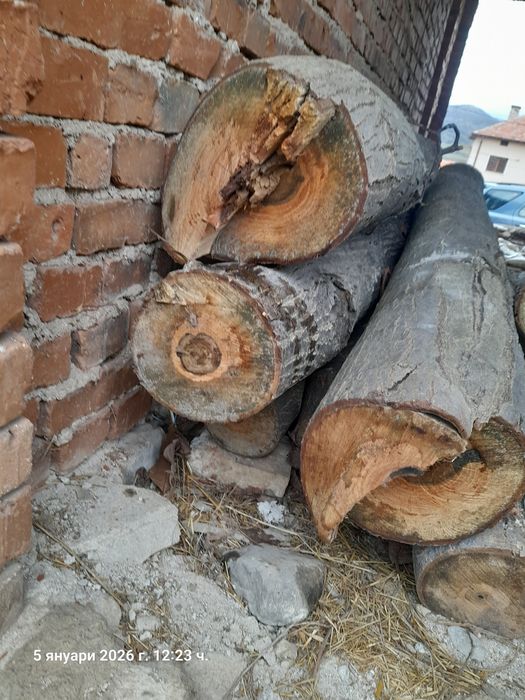 Дърва от орех за материал