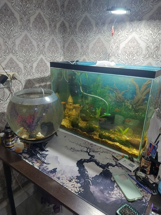 Аквариум сатылады.