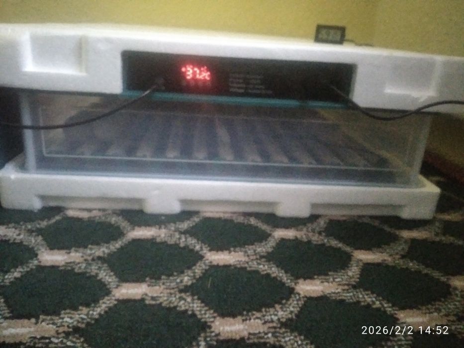 Инкубатор сотилади