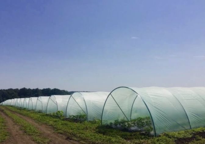 Монтаж ,установка и ремонт  теплиц