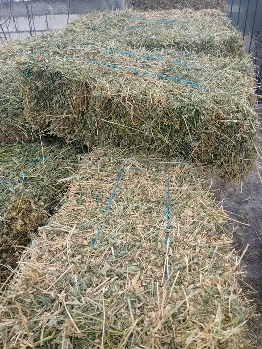 Vand baloti de lucerna