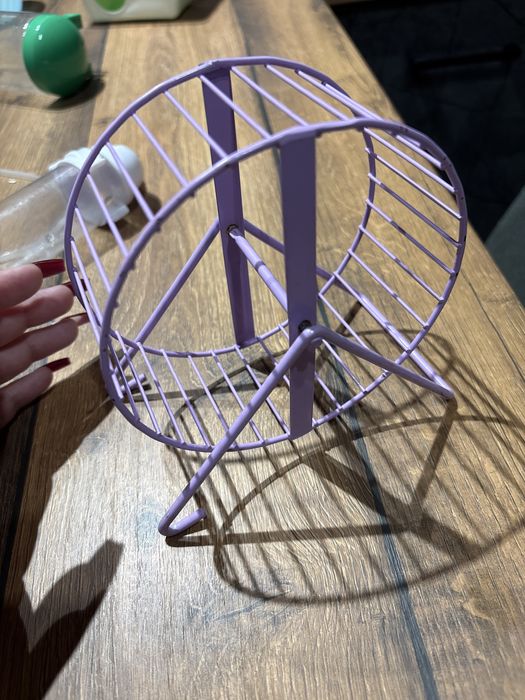 Всичко за хамстери