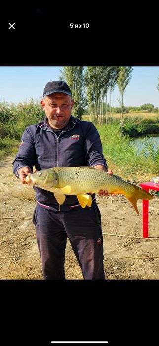 Рыбалка, речной вкус рыбы.
