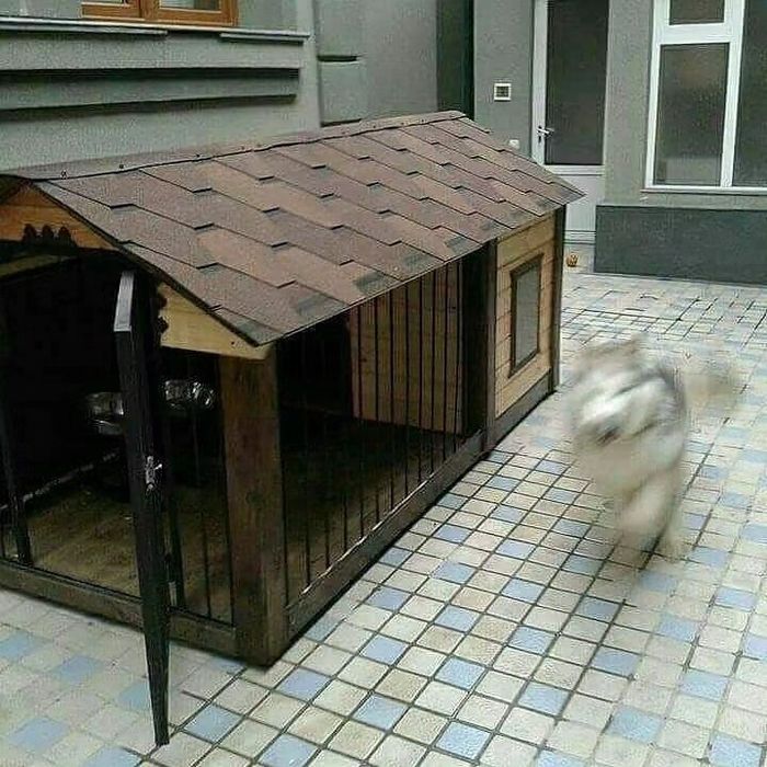 VIP DOG HOUSE. Будки для Собак. Каталог