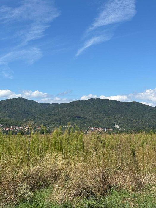 Teren de vanzare Calimanesti - Valcea