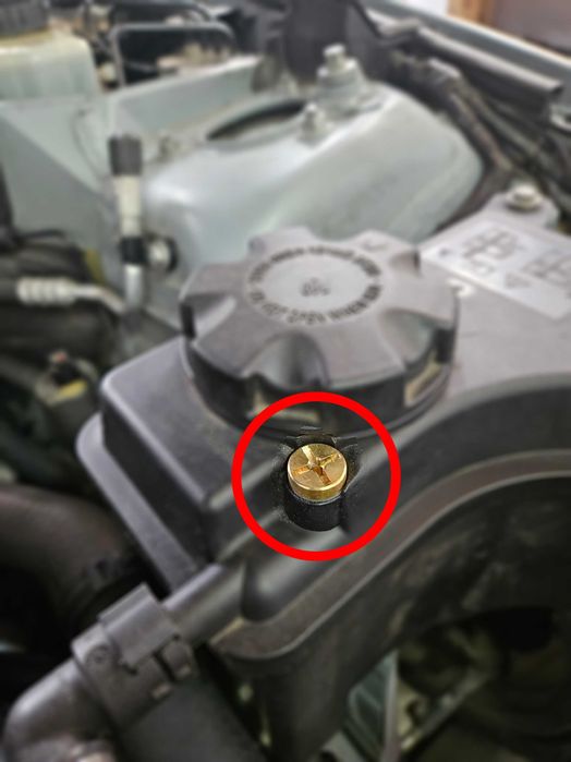 Винт на Клапан за Обезвъздушаване на BMW