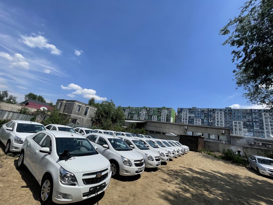 Авто аренда Яндекс Такси